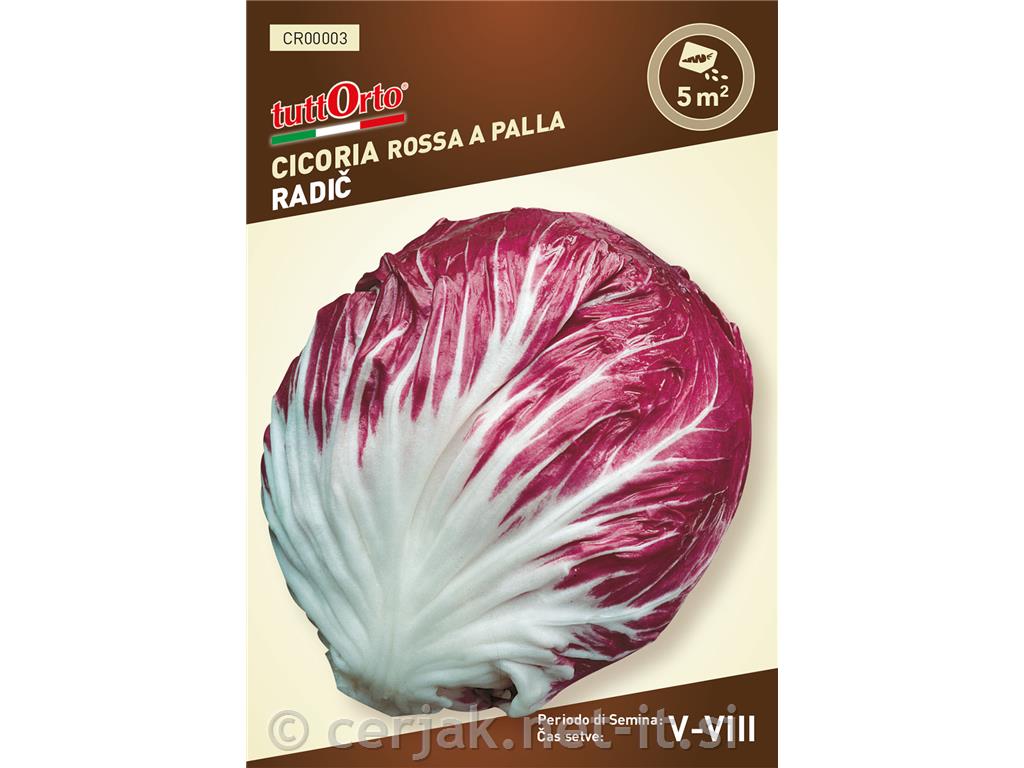 Radič Palla rossa 3, 2 g