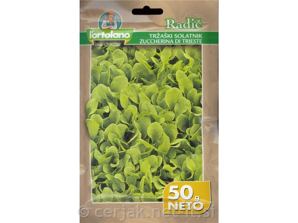 Radič Tržaški solatnik 50 g