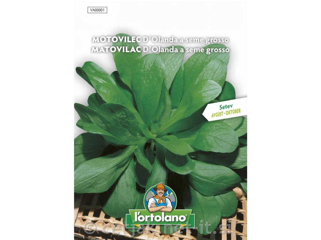 Motovilec Holandski, 8 g