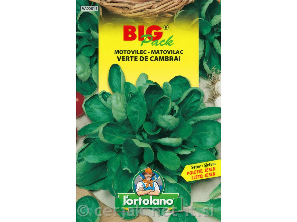 Motovilec Verte de Cambrai 15g
