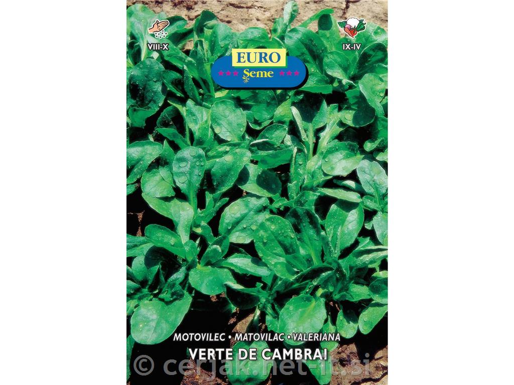 Motovilec Verte de cambrai 6g