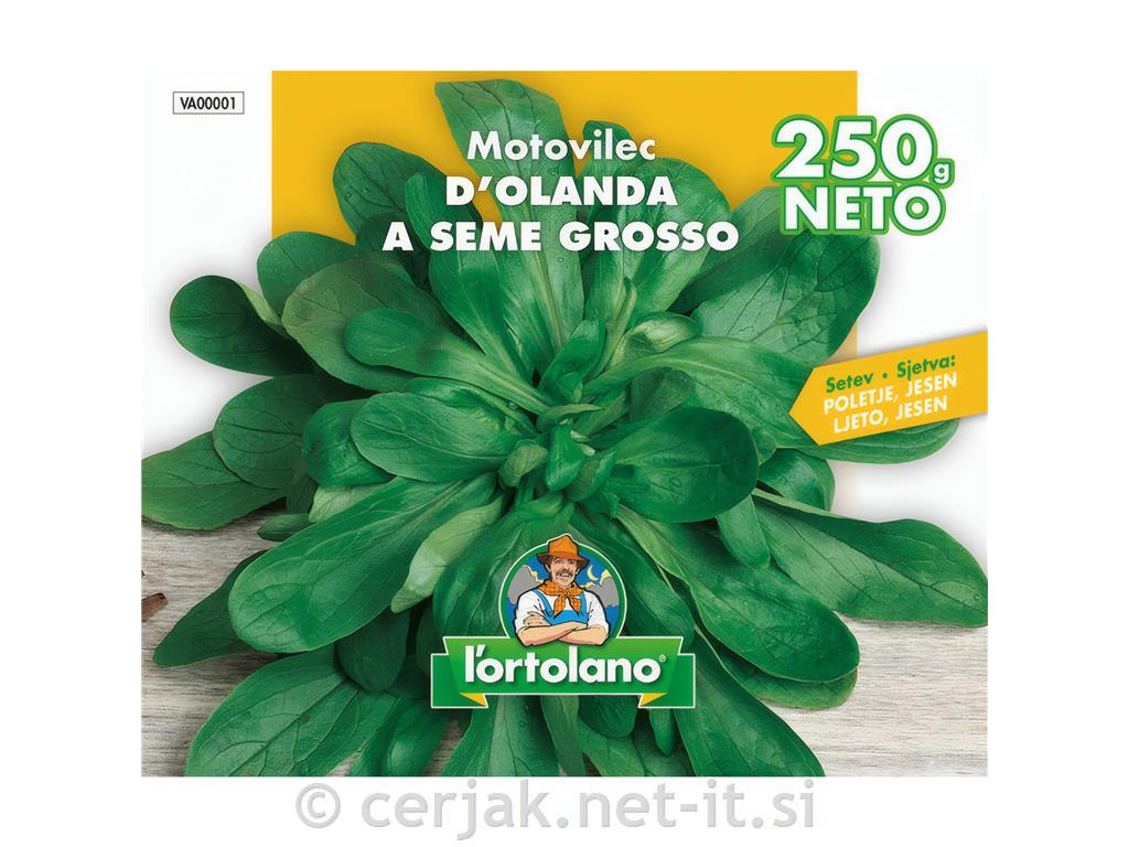 Motovilec holandski grosso, 250gr