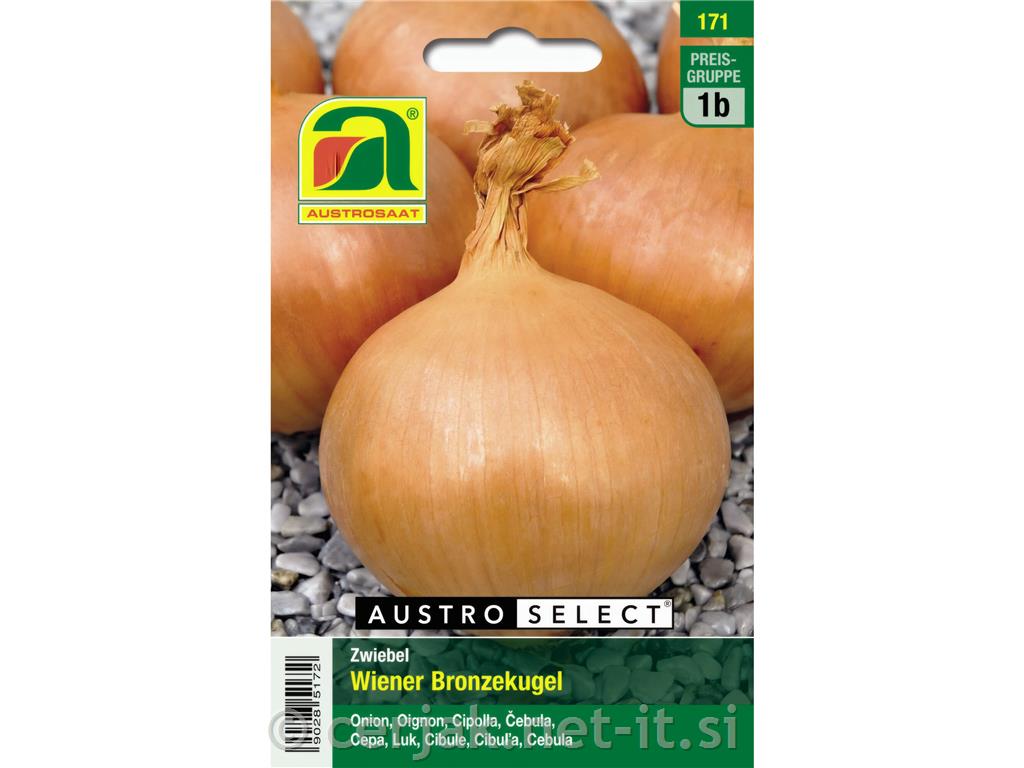 Čebula Wiener Bronze 5g