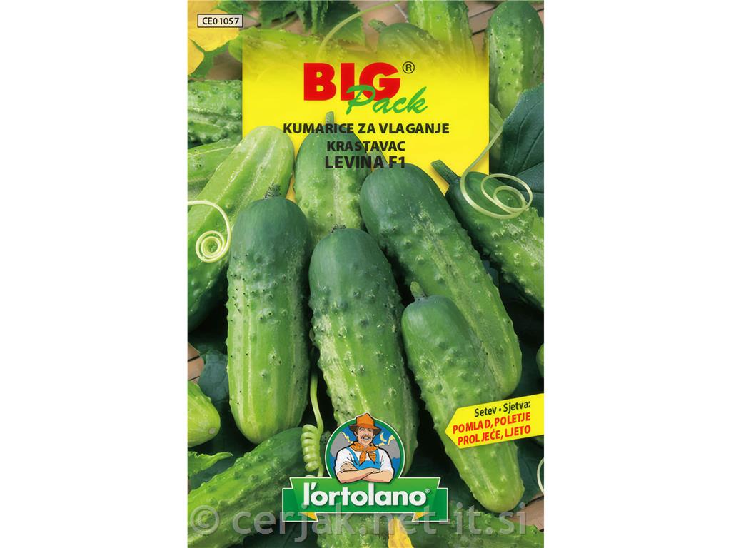 Kumarice za vlaganje Levina 10g
