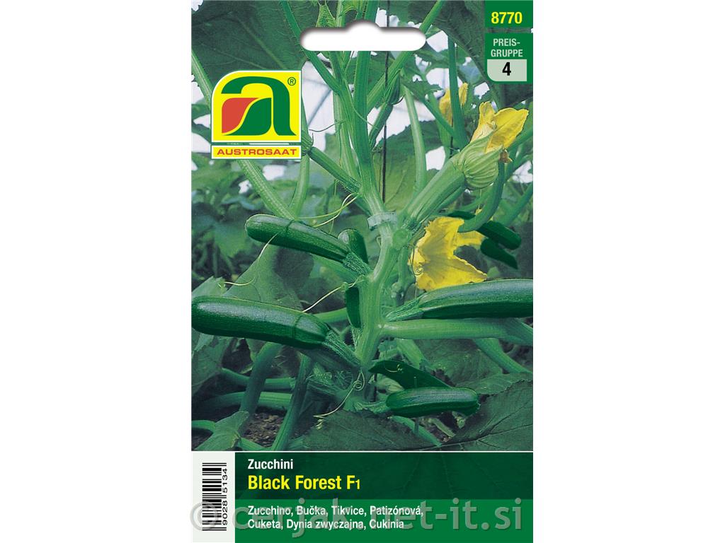 Zucchini bučke Black Forest F1, 5g