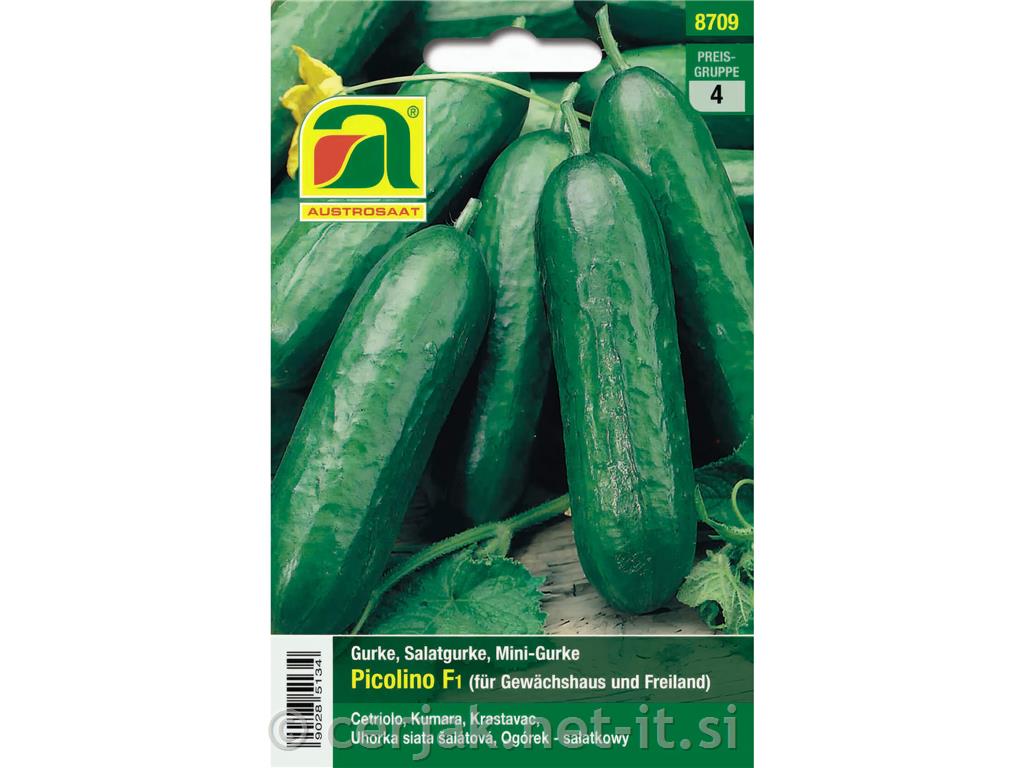 Solatne kumare Picolino F1