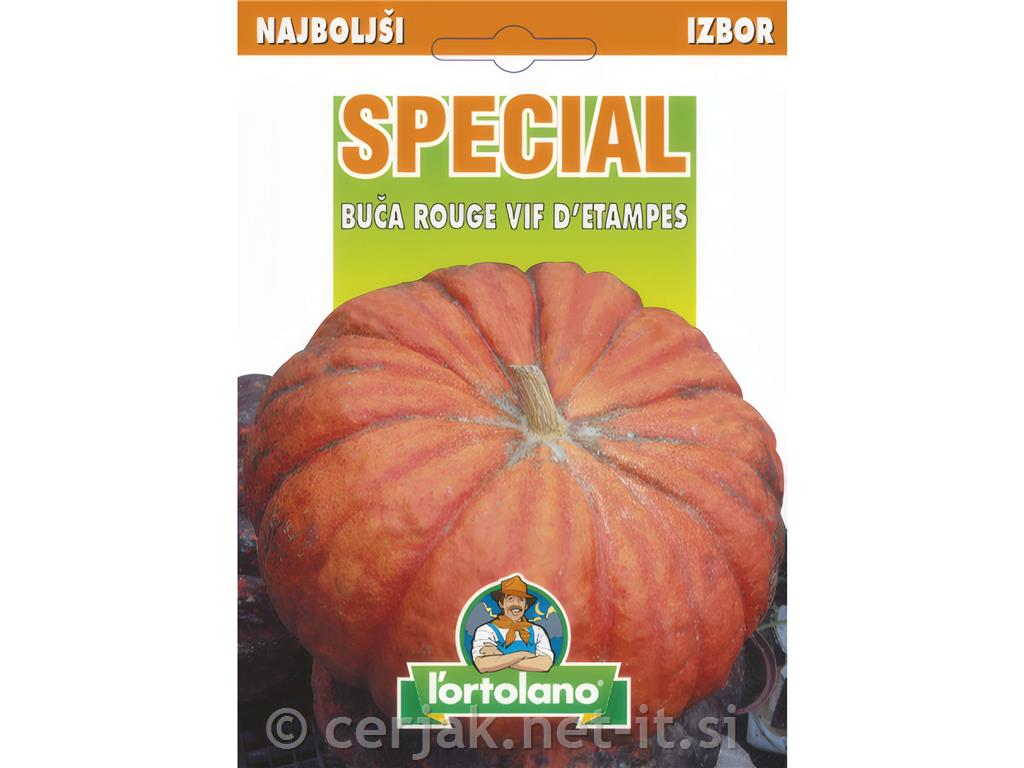 Buča Rouge Vif Detampes, 6 g