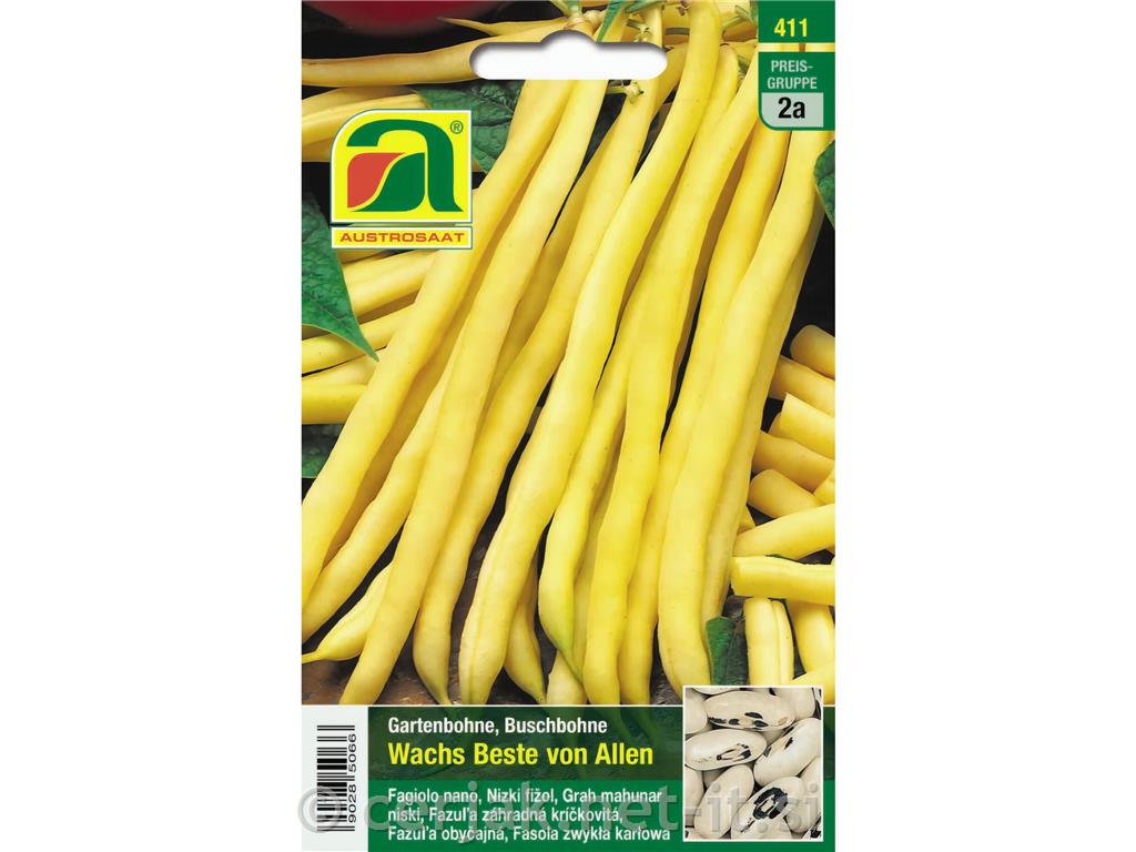 Nizki fižol Wachs Beste Von Allen, 50g