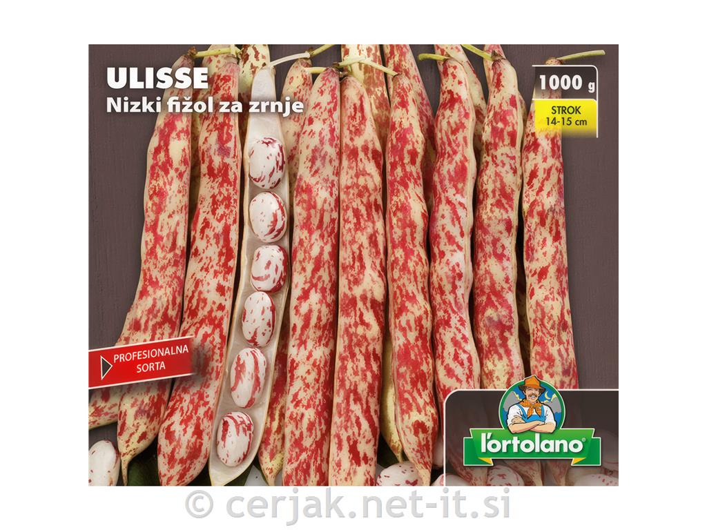 Fižol nizki Ulisse 1kg