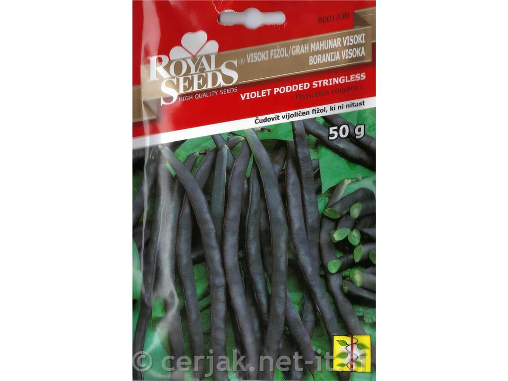 Fižol visok vijoličen 50g