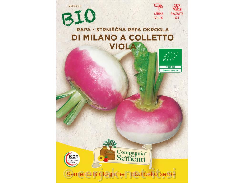 Repa Milano colletto viola EKO 10 g