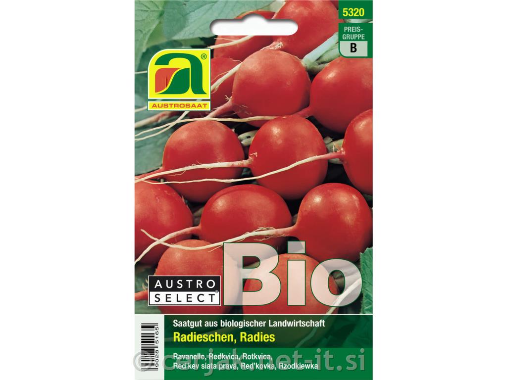 Redkvica rdeča EKO