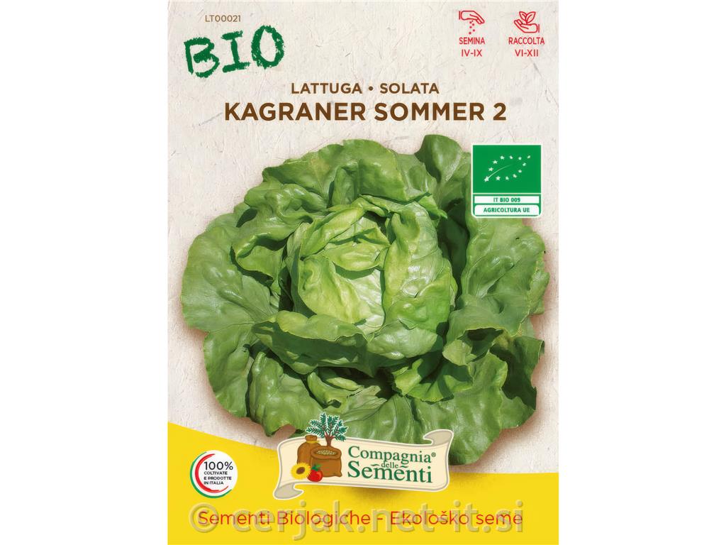 Solata EKO Estiva di Kagran 2, 7 g