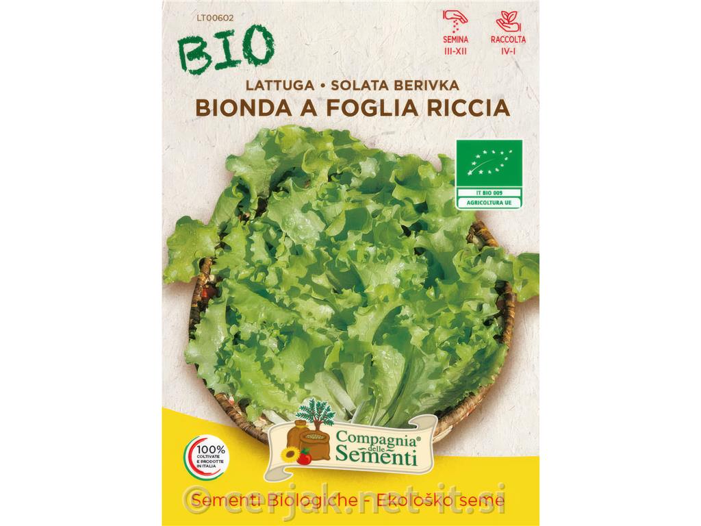 Solata Bionda a foglia riccia EKO 7 g