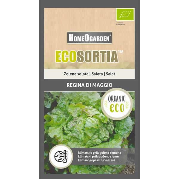 Zelena solata Regina Di Maggio EKO, 1g