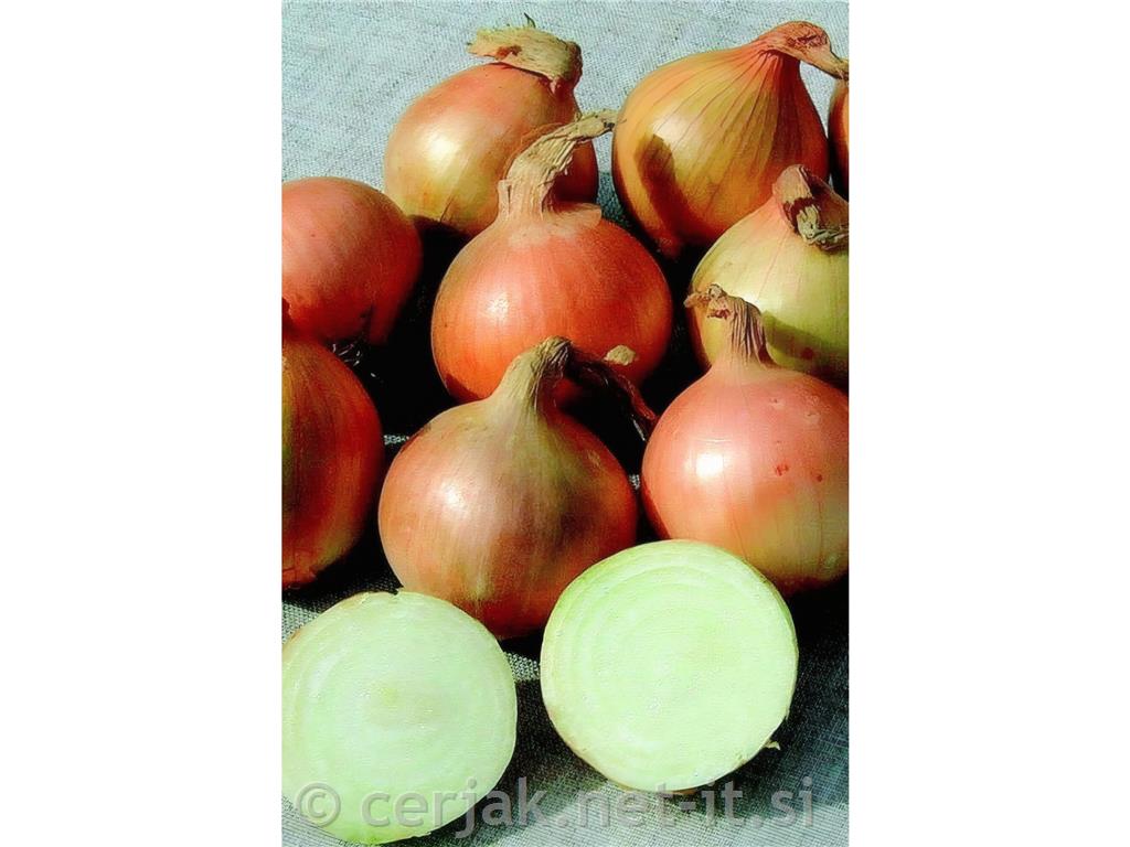 Čebulček eko sturon, 500 g