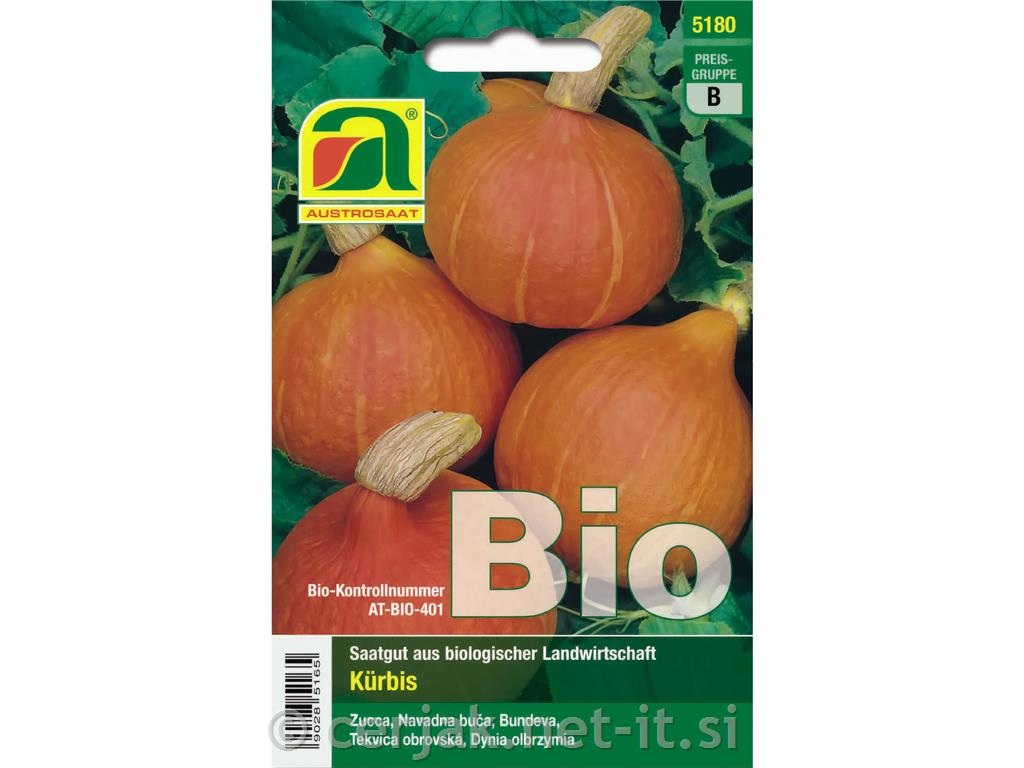 Jedilna buča Hokkaido Uchiki Kuri EKO