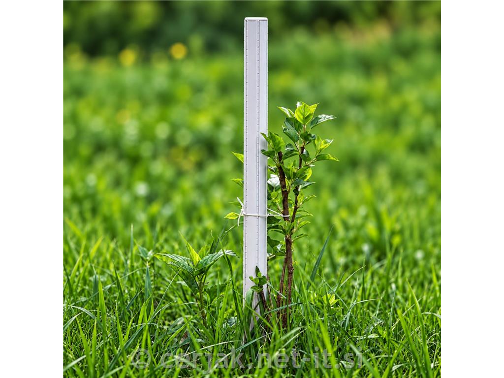 Opornik za rastline fi 37 x 265 cm