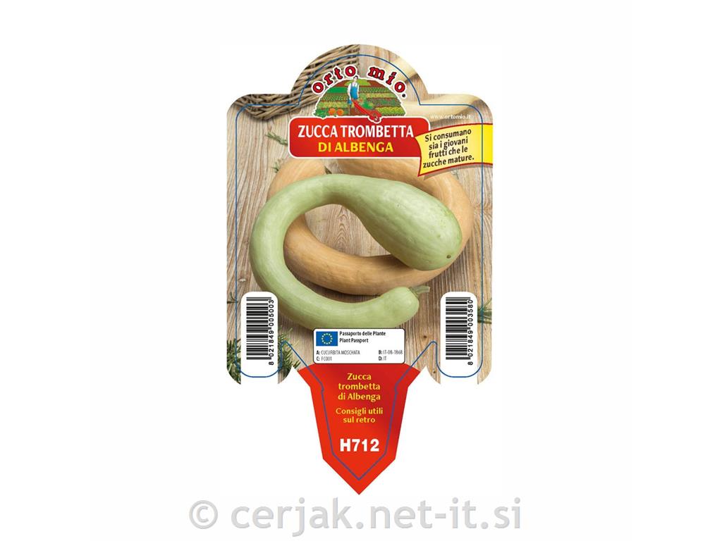 Bučke Trombetta di Moana F1, 1 kos