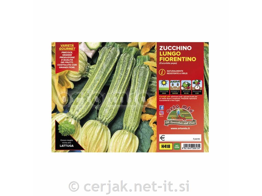 Bučke Lungo Fiorentino F1
