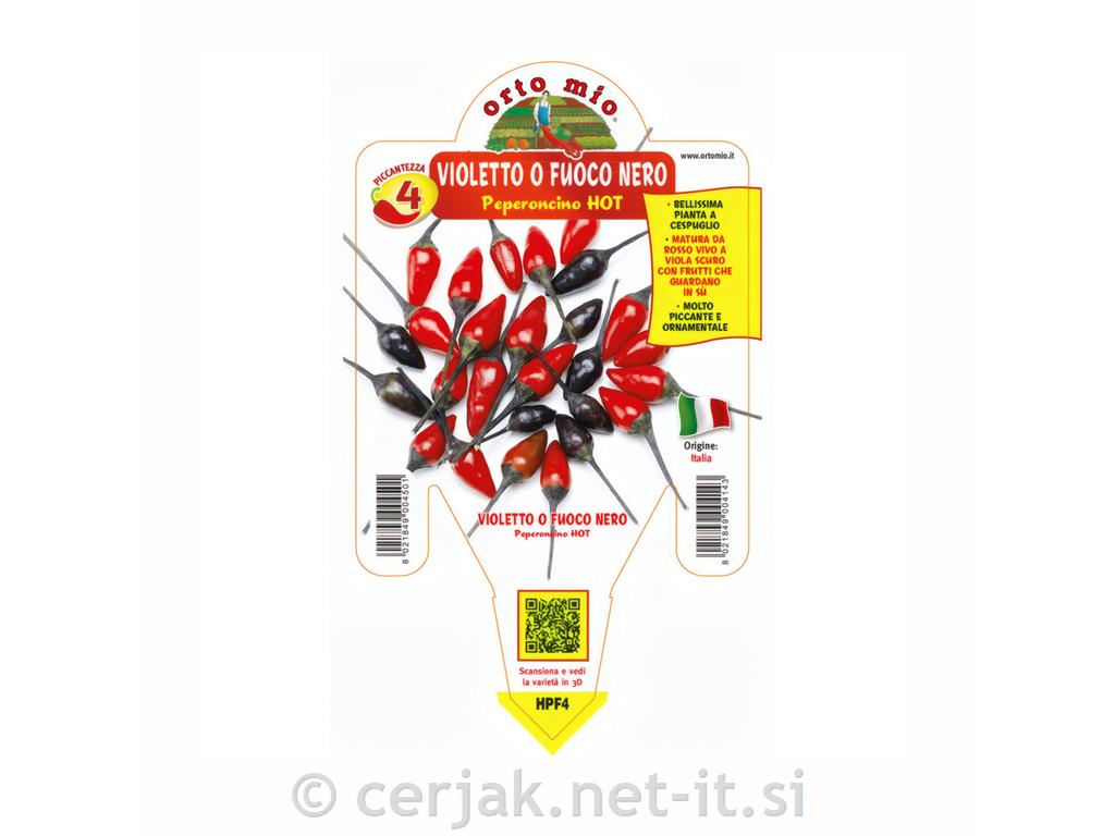 Čili paprika Violetto, 1 kos