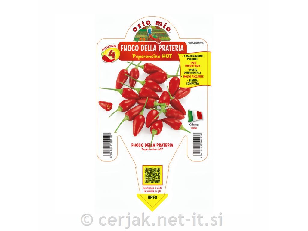 Čili paprika Fuoco Della Prateria, 1 kos