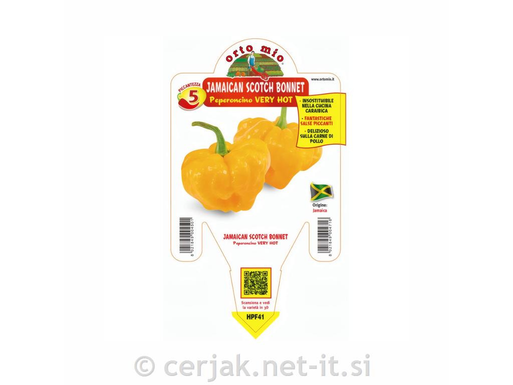 Čili paprika Jamaican Scotch Bonnet, 1 kos