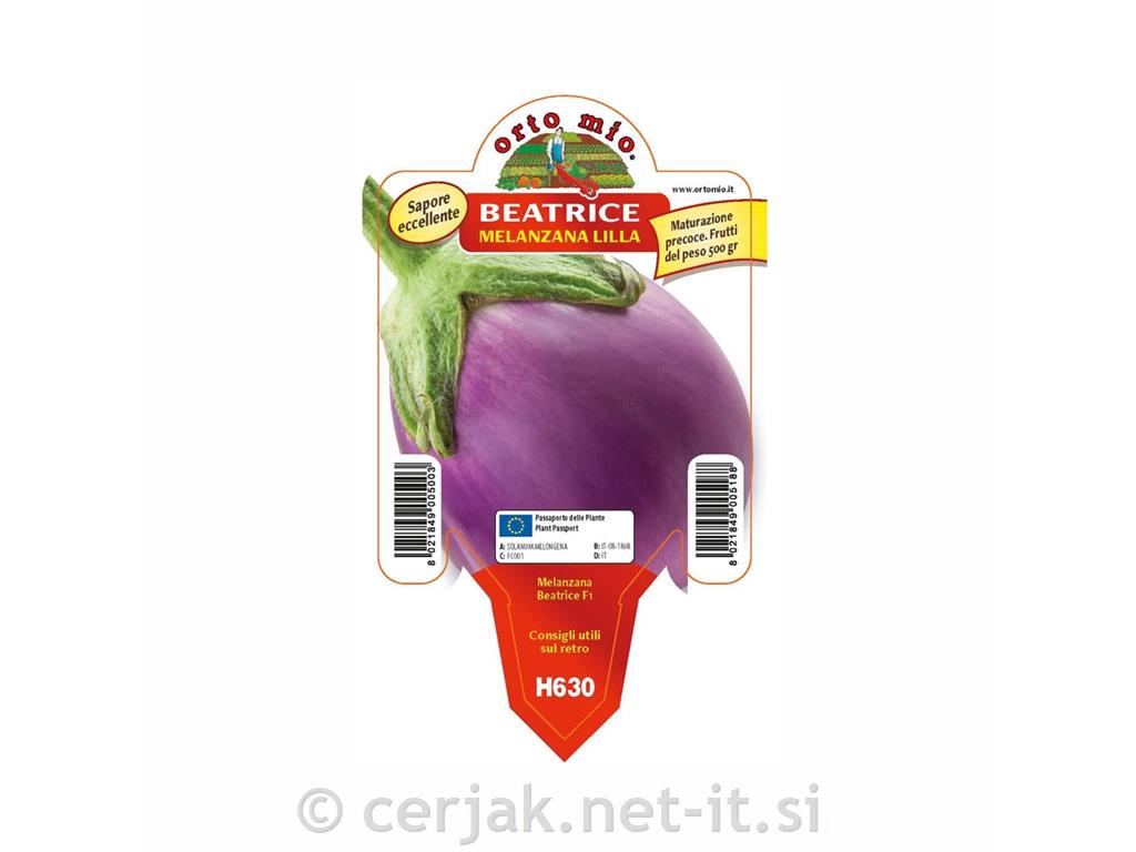 Jajčevec okrogli roza Beatrice F1