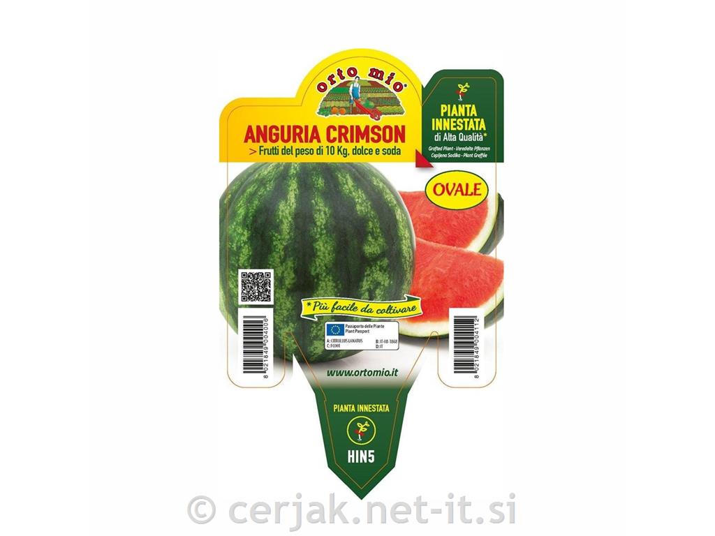 Lubenica cepljena ovalna Bomber F1, L14, 1 kos
