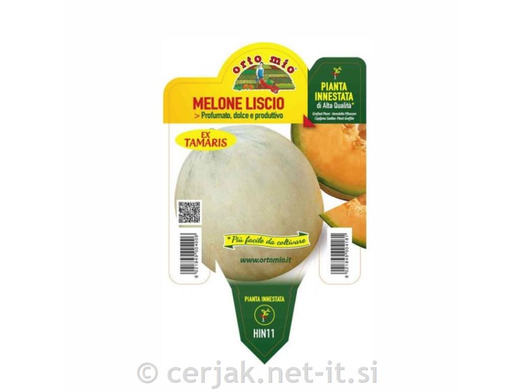 Melona cepljena gladka Bacir F1, L14, 1 kos
