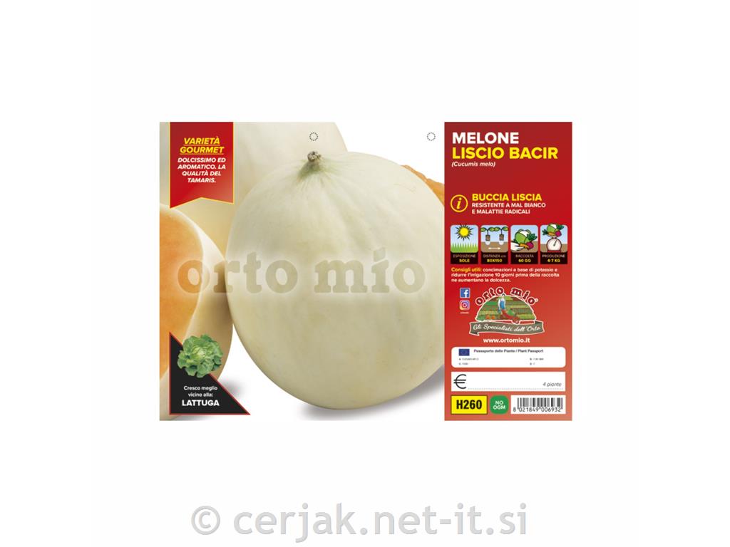 Melona gladka Bacir F1