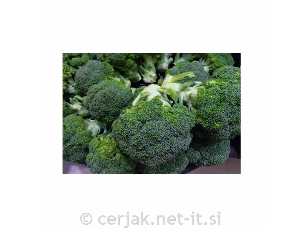 Brokoli zgodnji di Natale, 6 kos