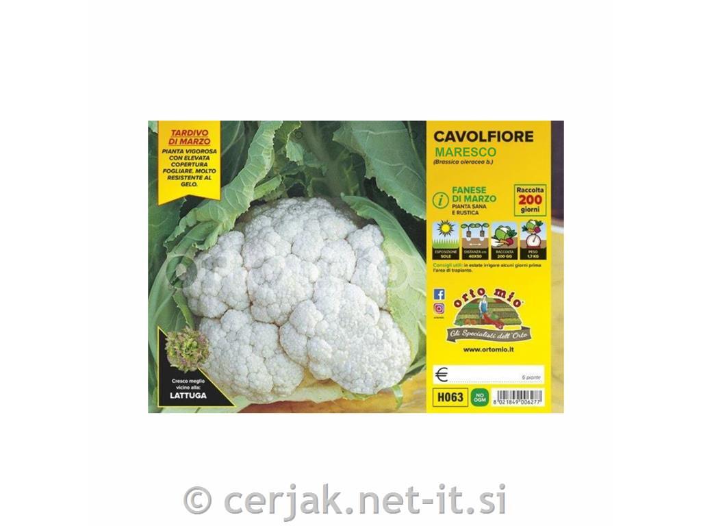 Cvetača Maresco F1 , 6 kos