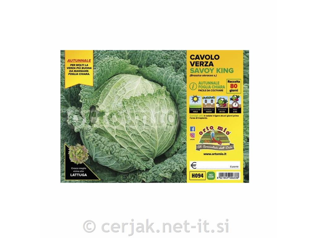 Glavnati ohrovt jesenski Savoy King F1, 6 kos