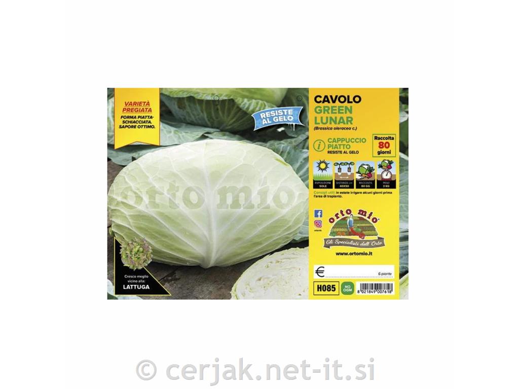 Zelje Green Lunar F1, 6 kos