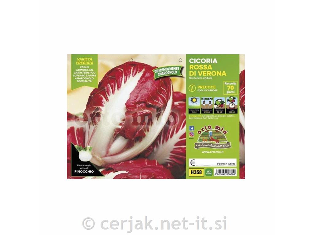 Radiči Verona zgodnji cologna precoce, 9 kos