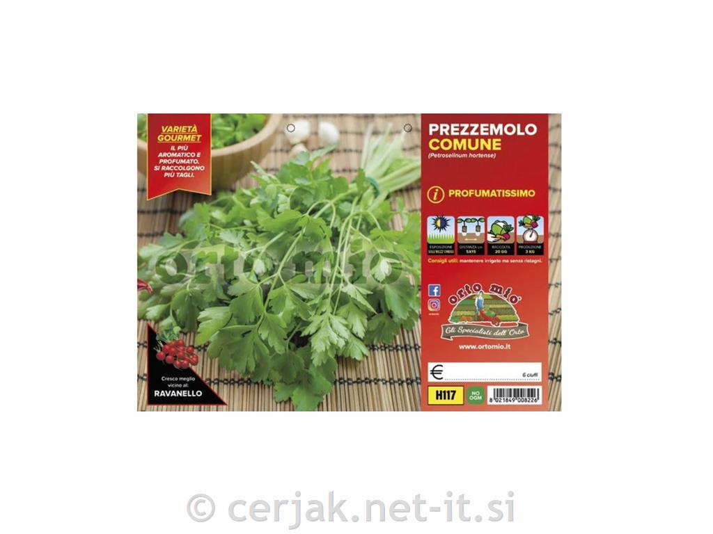 Peteršilj listni aromatični Comune, 6 kos