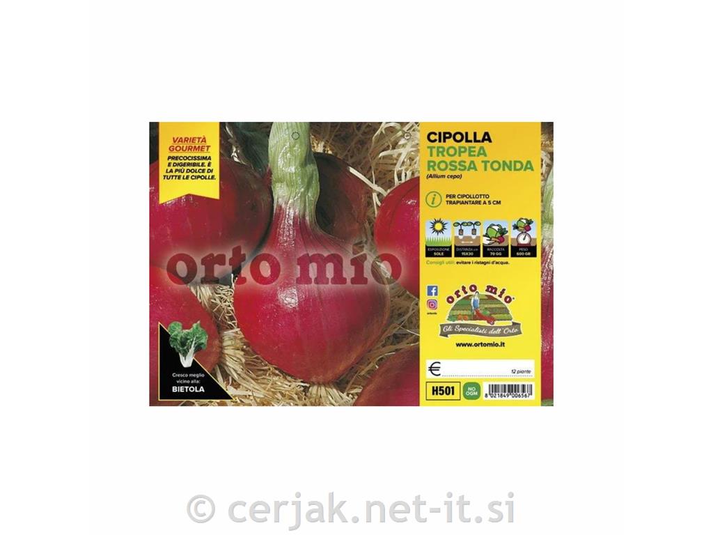 Čebula rdeča okrogla Tropea rossa tonda, 12 kos