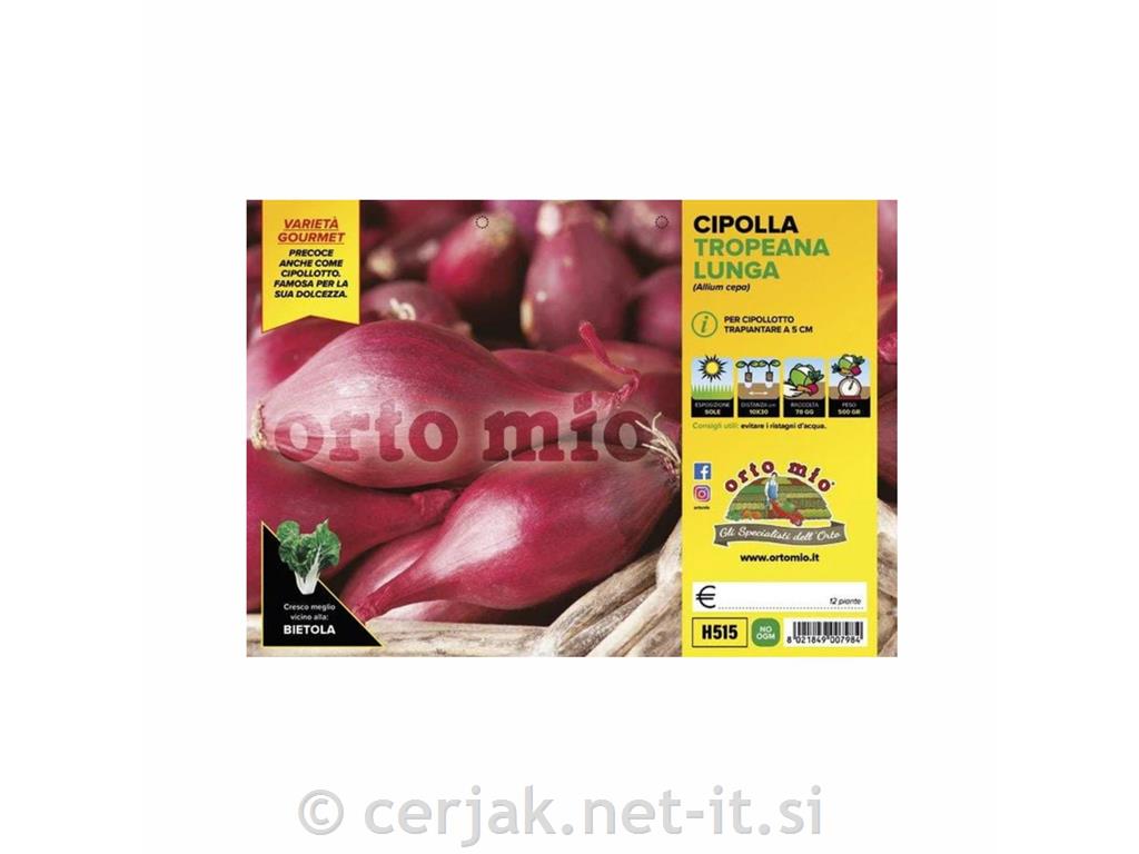 Čebula Tropeana lunga, 12 kos