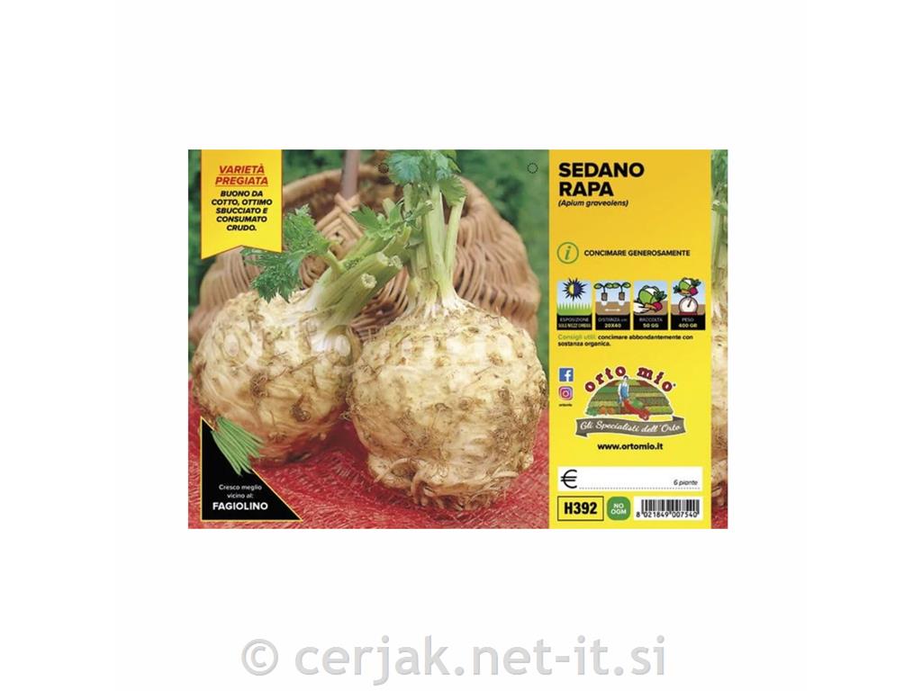 Zelena Cisko F1, 6 kos