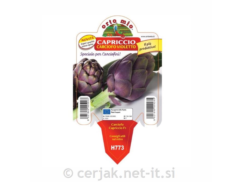 Artičoka Capriccio F1