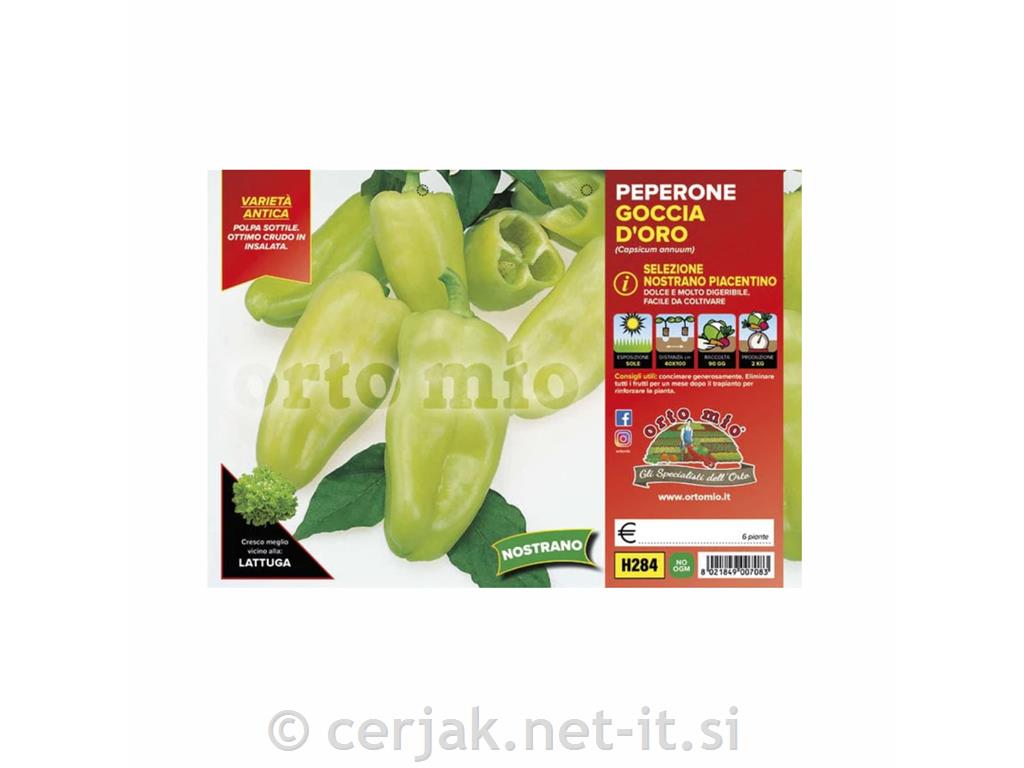 Paprika dolga babura Nostrano Piacentino, 6 kos
