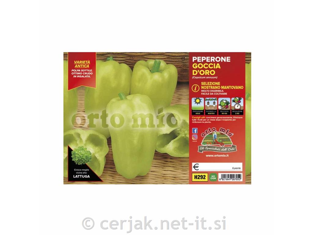 Paprika svetlozelena babura Nostrano Mantovano, 6 kos