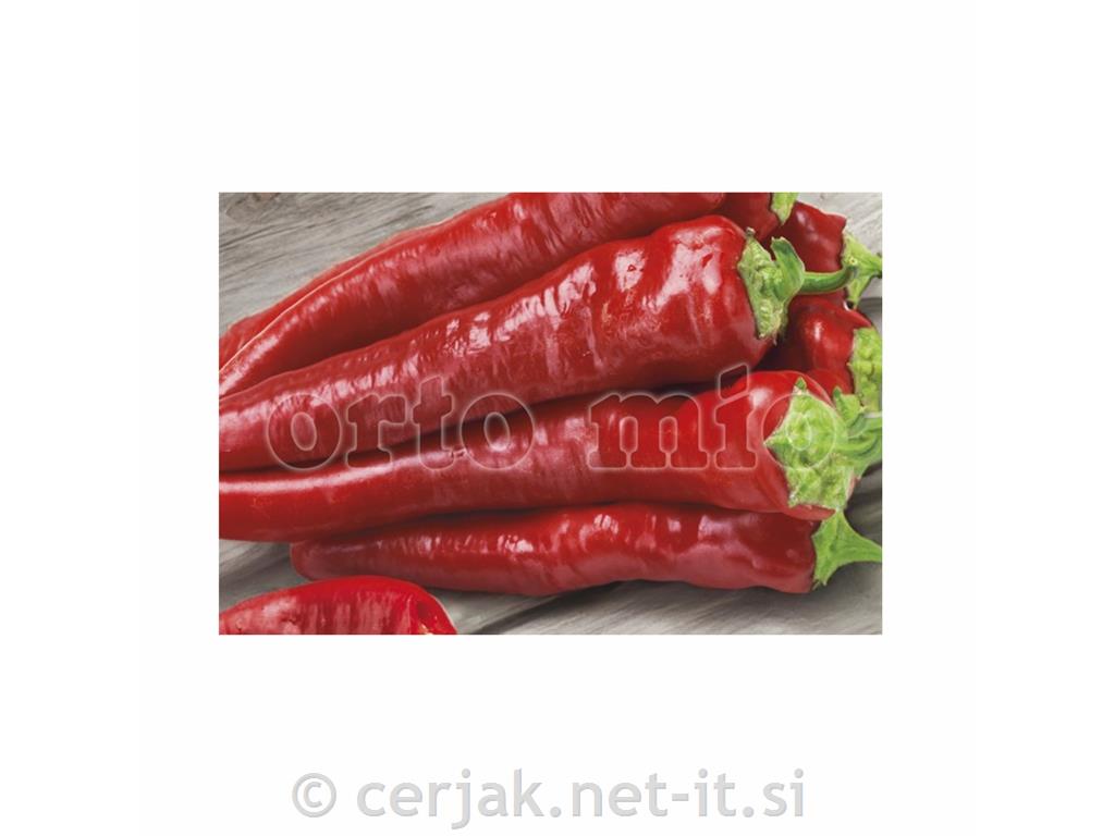 Paprika Corno di Capra (kozji rog), 6kos