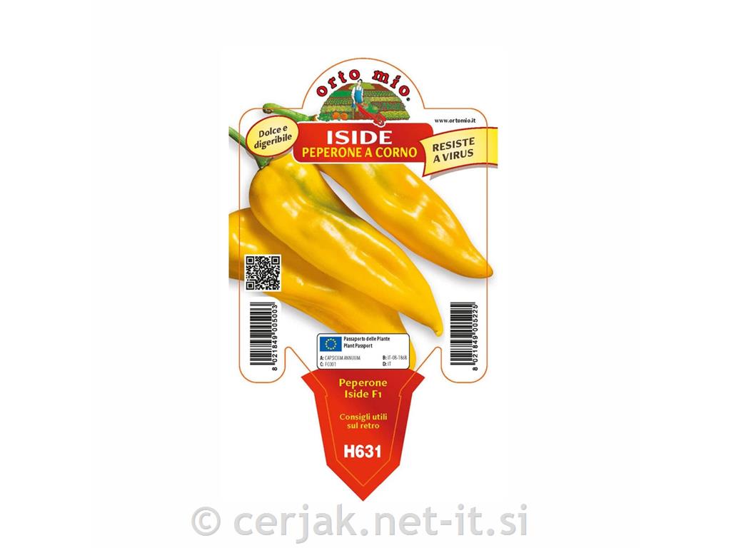 Paprika rog rumena Astor/Iside F1