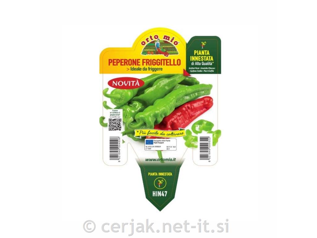 Paprika cepljena zelena podolgovata Isotta F1