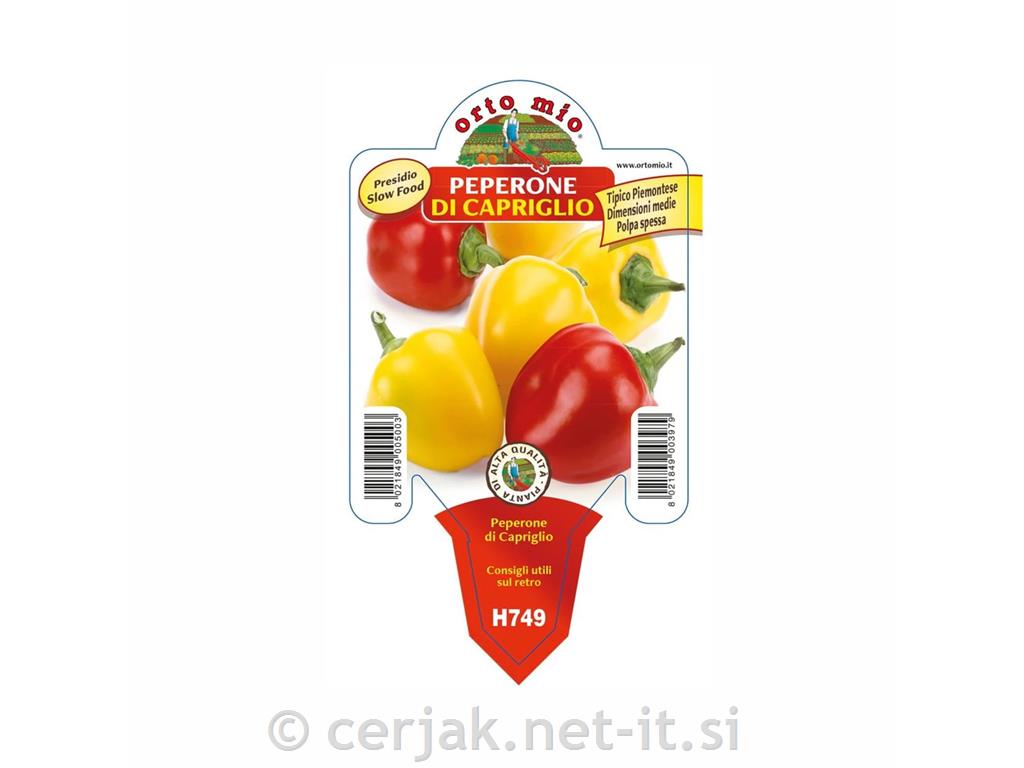 Paprika vrtavkasta Capriglio, 1 kos