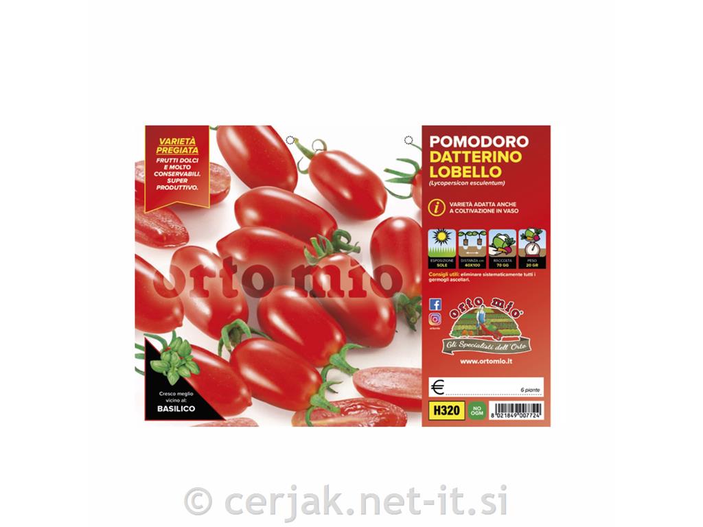 Paradižnik datljev Lobello F1, 6 kos