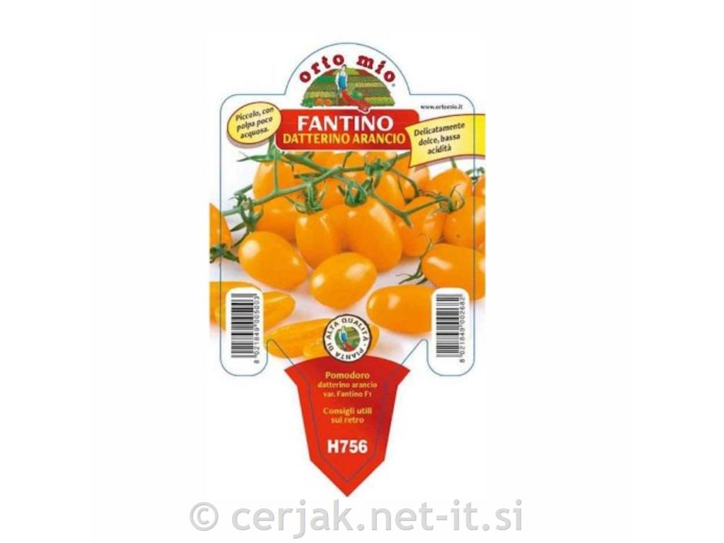 Paradižnik oranžni datljev Fantino F1