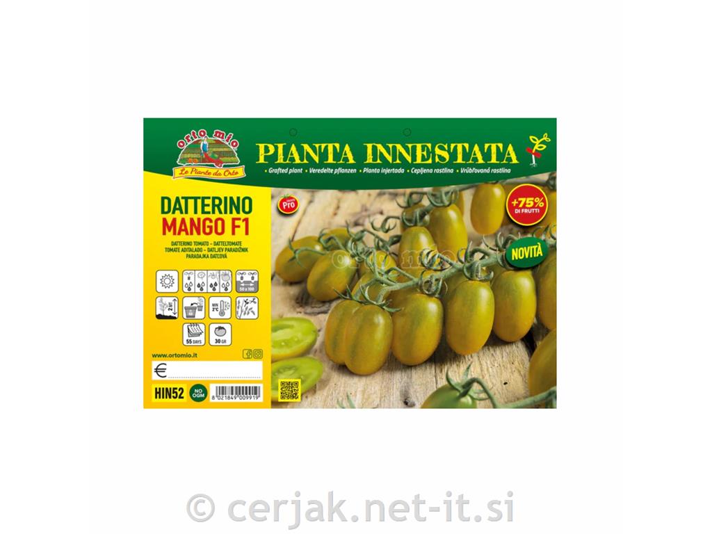 Paradižnik zelen cepljen Mango F1